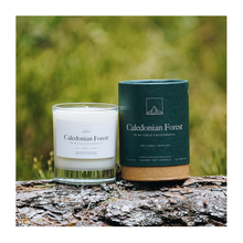  Caledonian Forest Candle