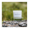 Caledonian Forest Candle