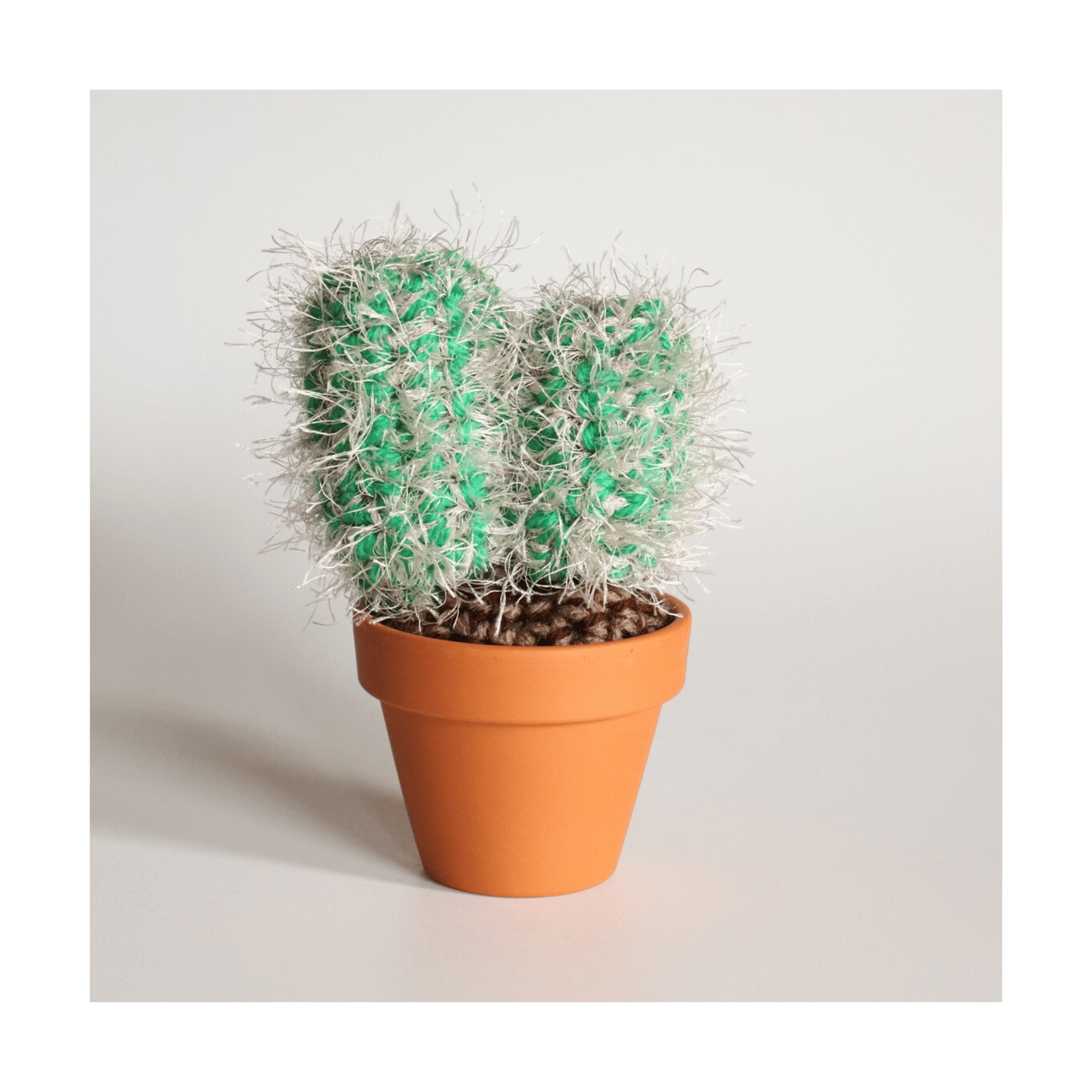 Medium Fluffy Cactus – Harbour Lane Studio