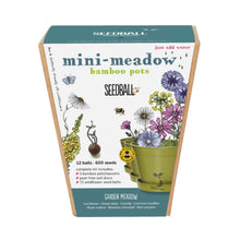  Seedball Meadow Pot - Garden Meadow Mix