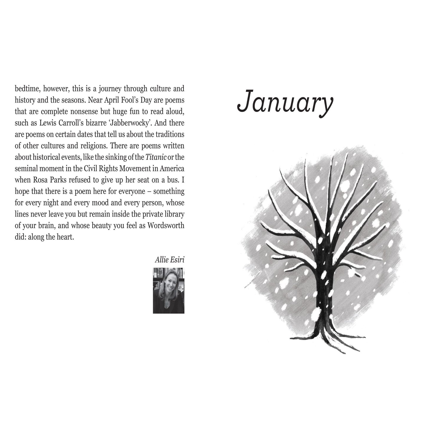 A Poem for Every Night of the Year