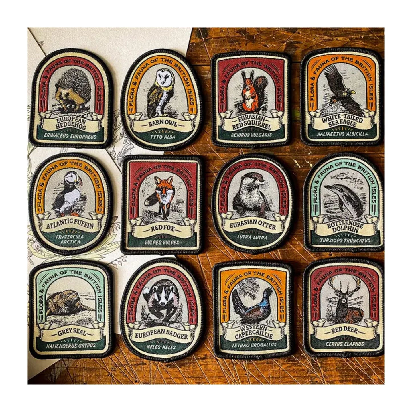 Scottish Wildlife Adventure Patch