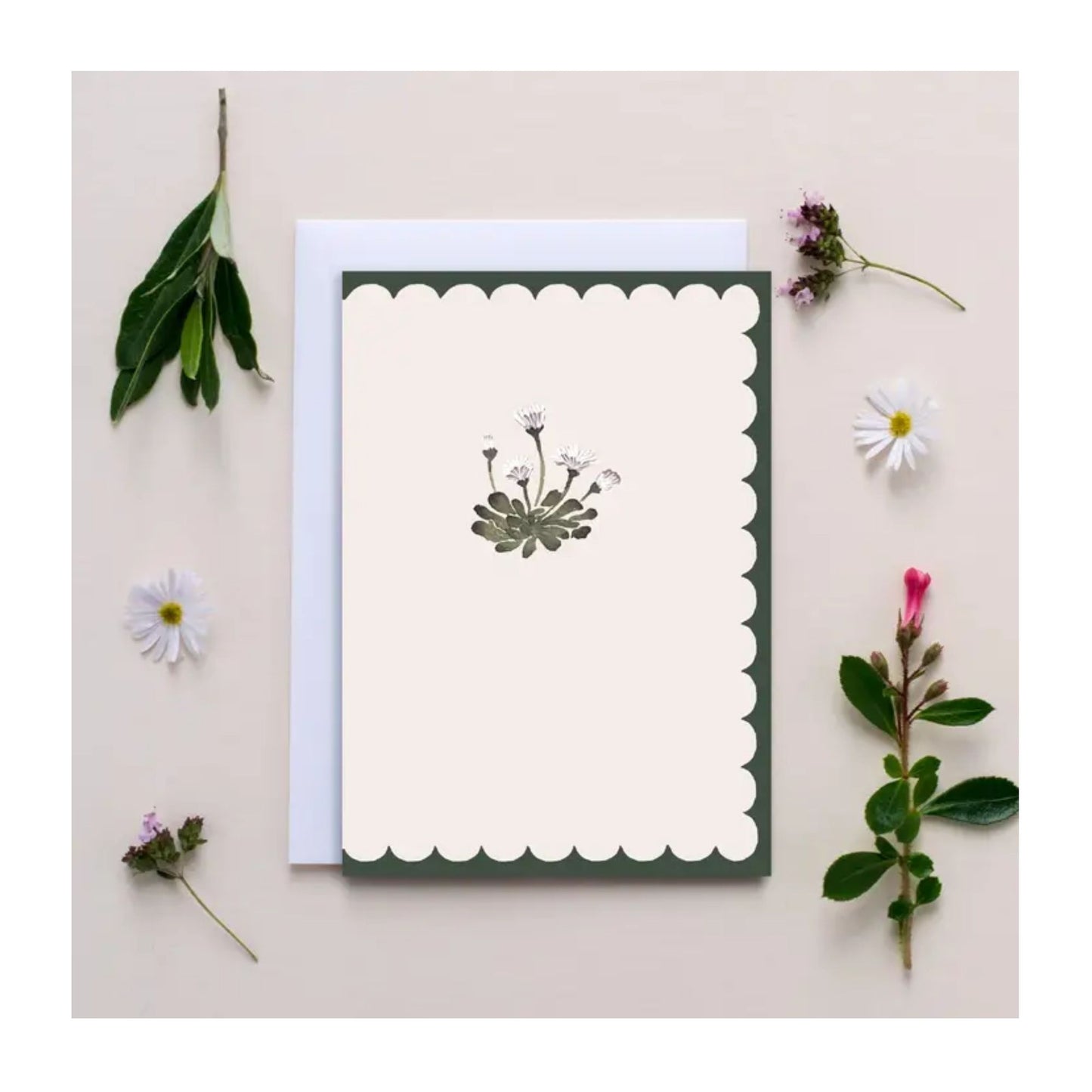 Scallop Daisy Card