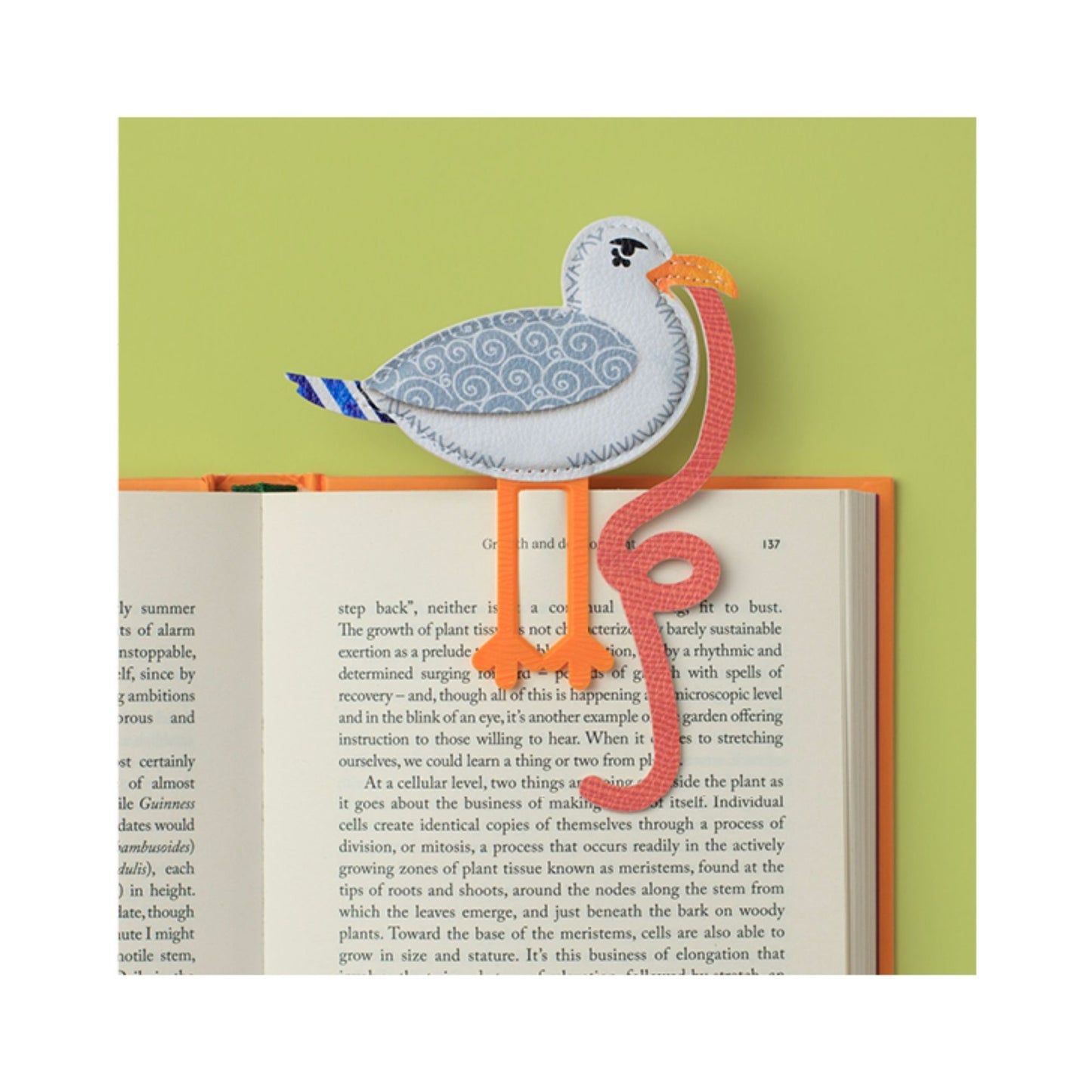 Early Bird Catches the Bookworm