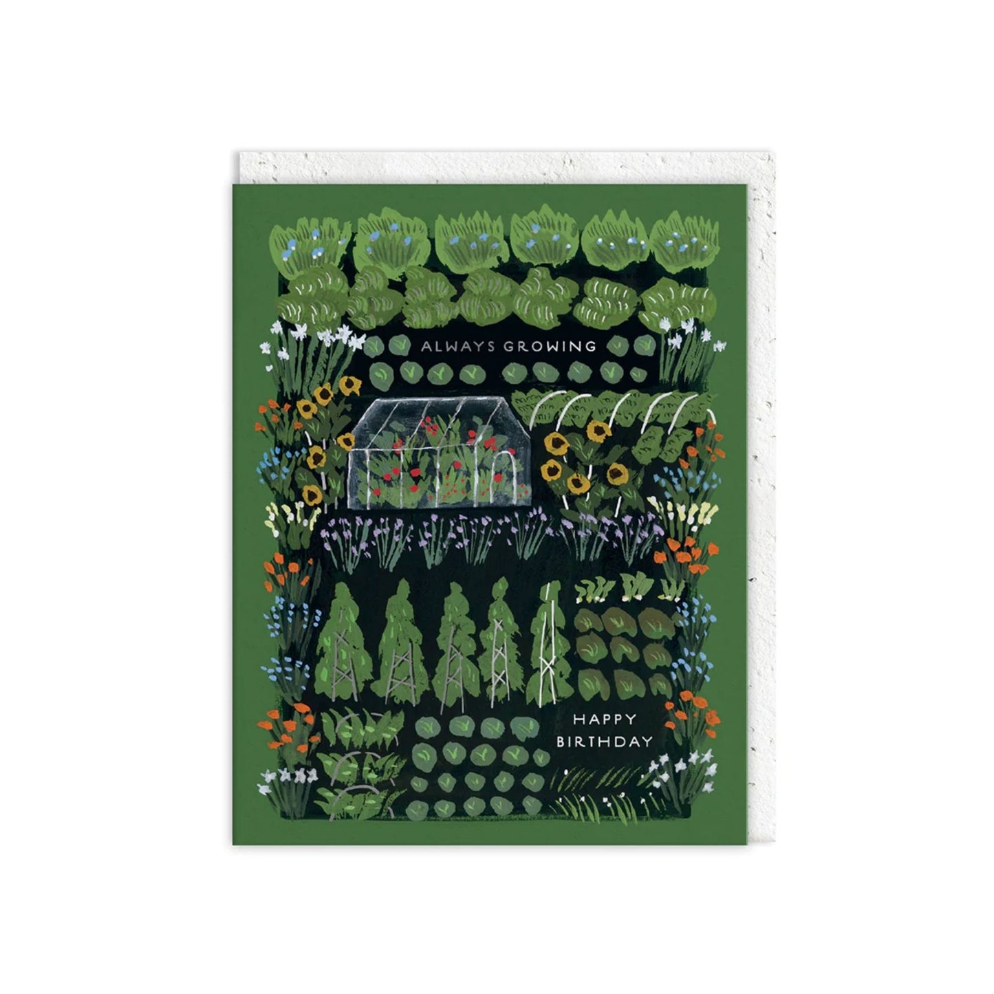 Always Growing Birthday Card