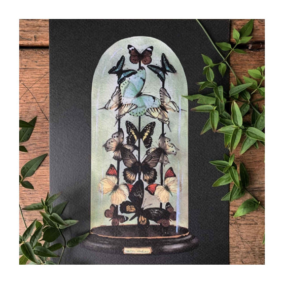Antique Butterfly Dome Print