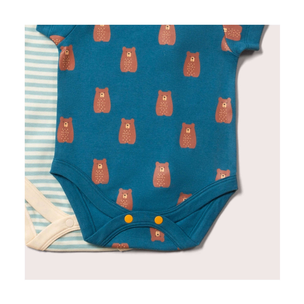 Teddy Bear Vests 2 Pack