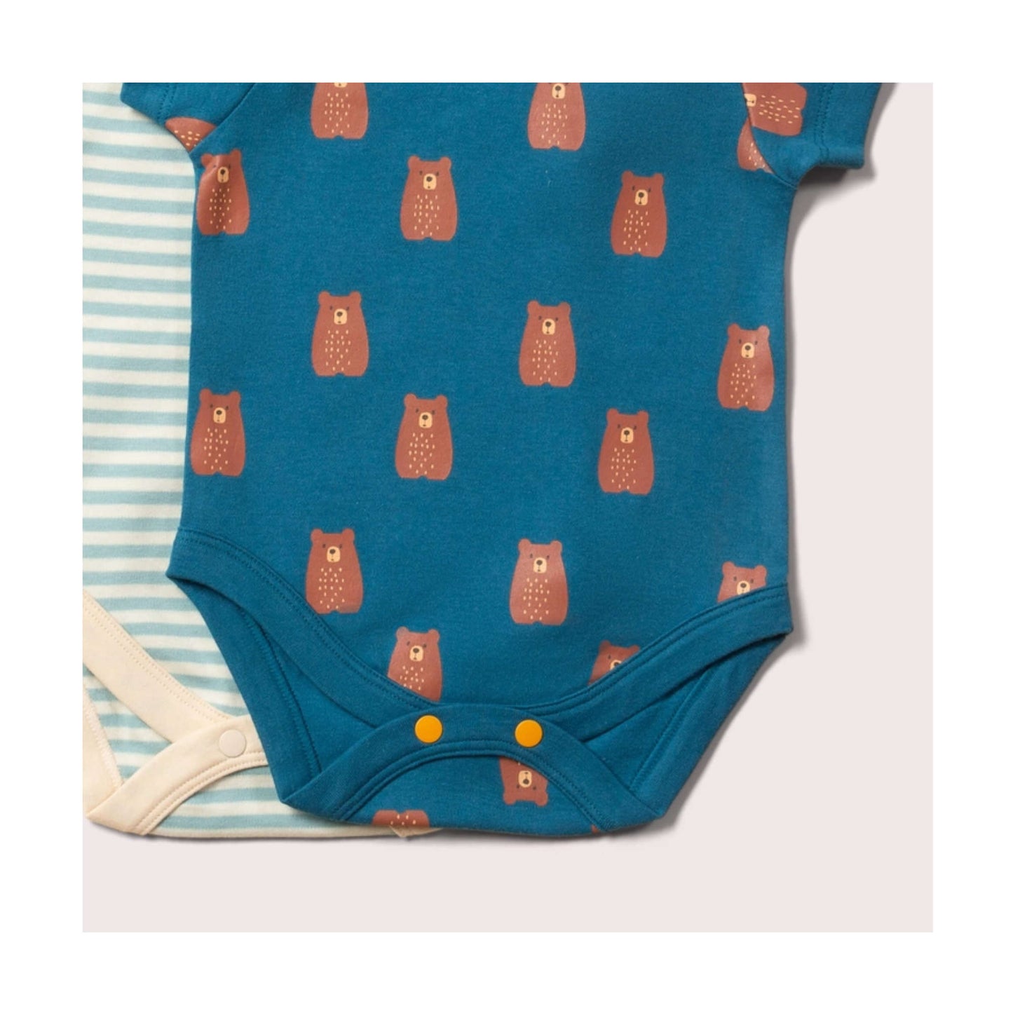 Teddy Bear Vests 2 Pack