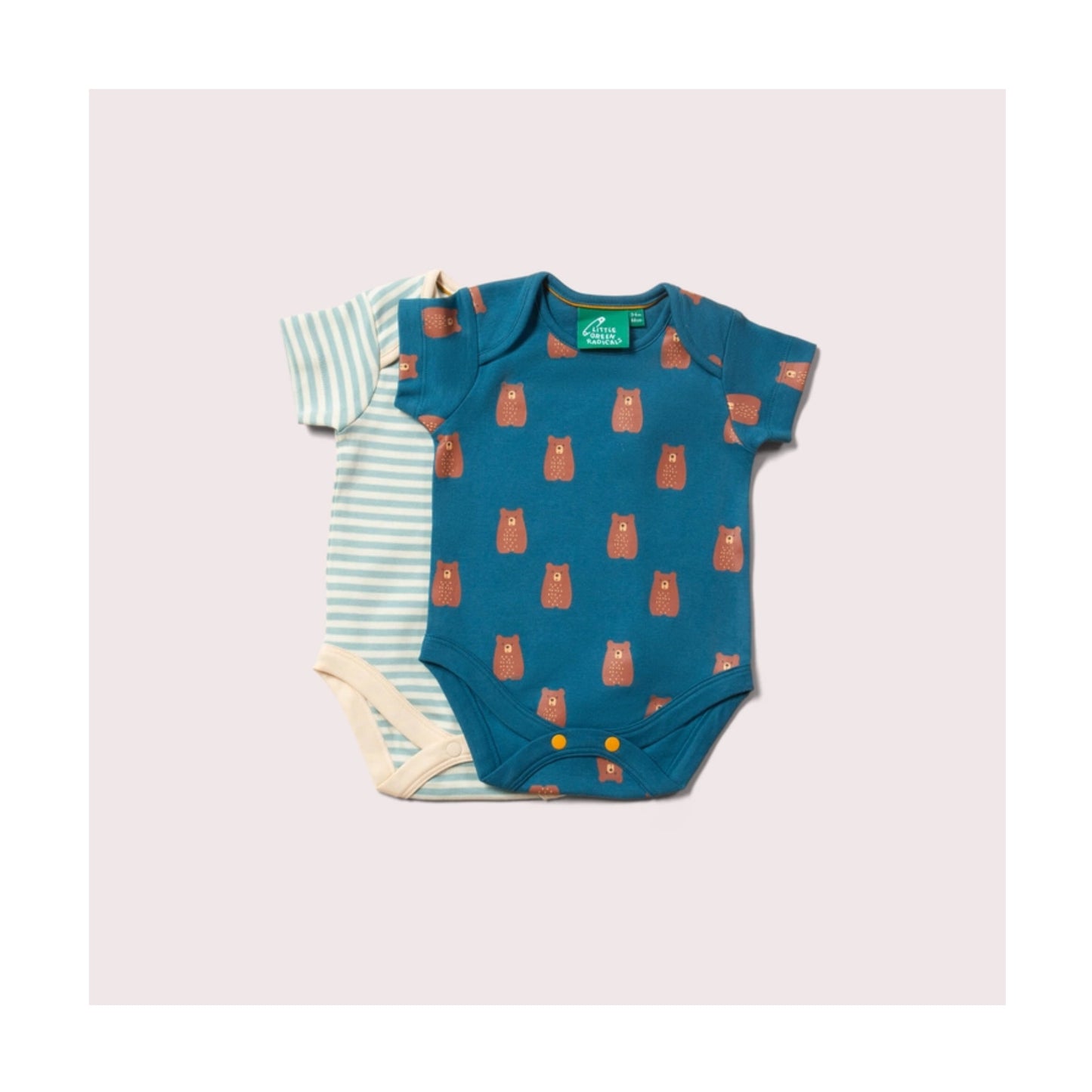Teddy Bear Vests 2 Pack