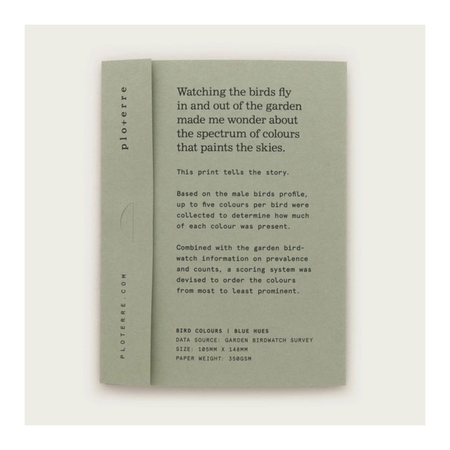 Blue Bird Hues Smallprint