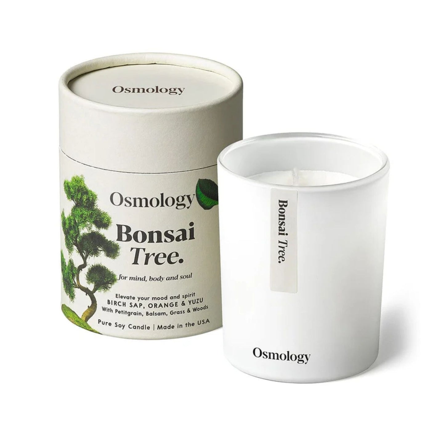 Bonsai Tree Soy Candle