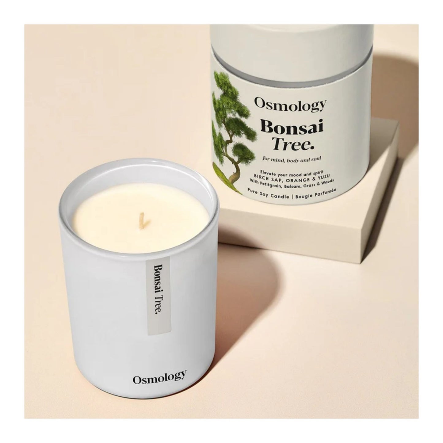Bonsai Tree Soy Candle