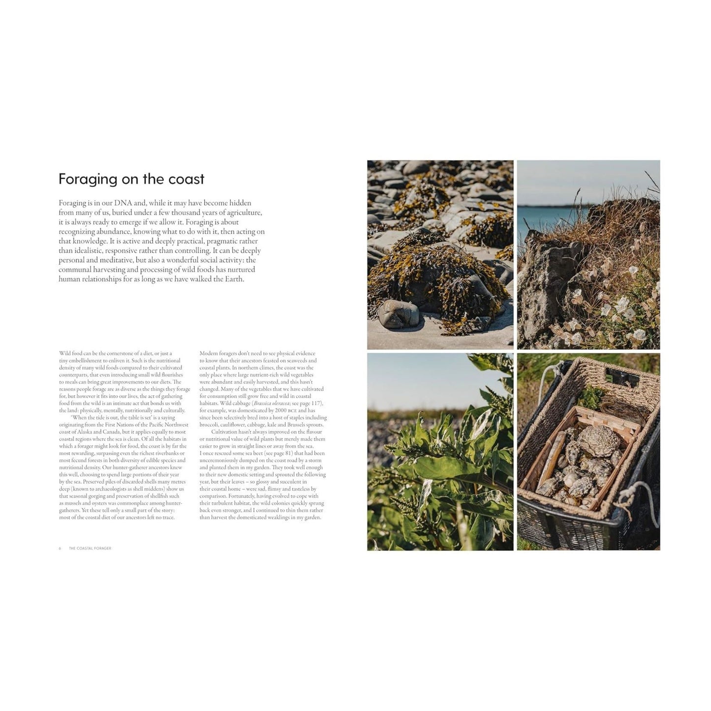 The Coastal Forager Book