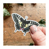 Entomology Vinyl Sticker Set