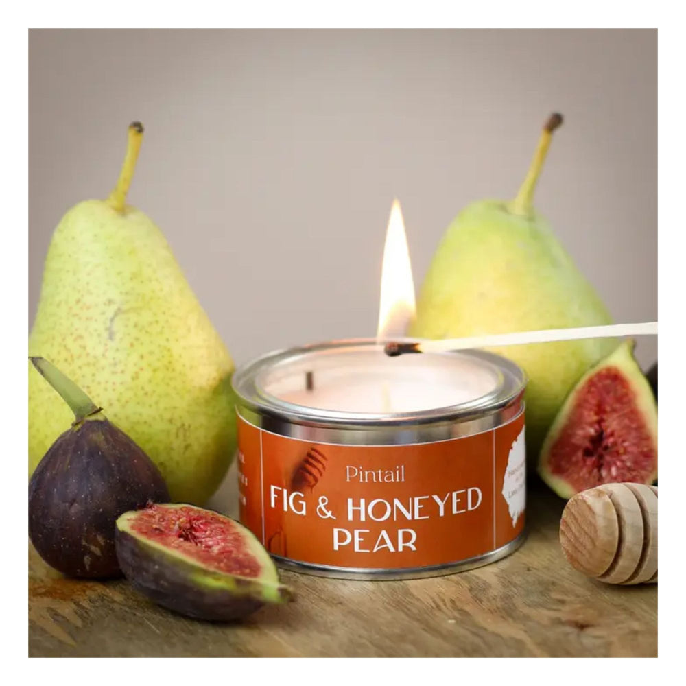 Fig & Honeyed Pear Paint Pot Candle
