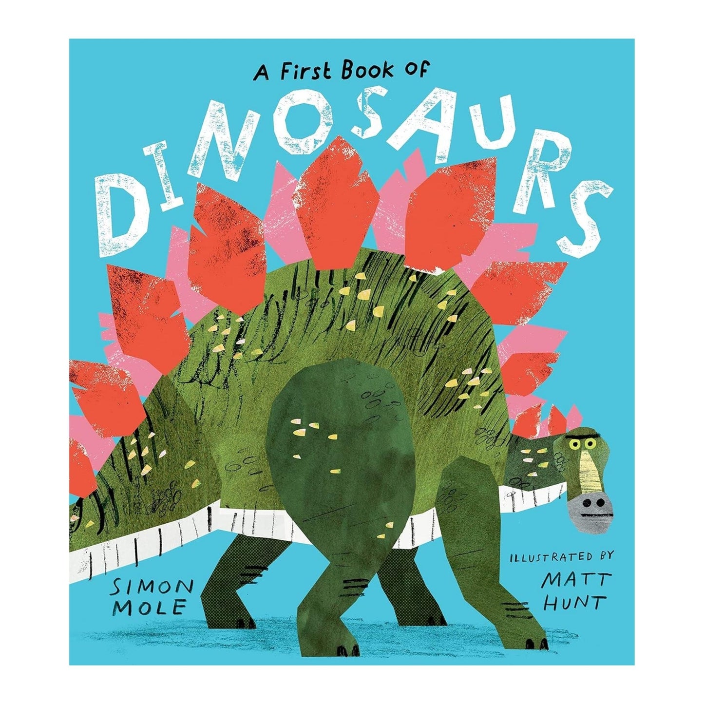 First Book of Dinosaurs