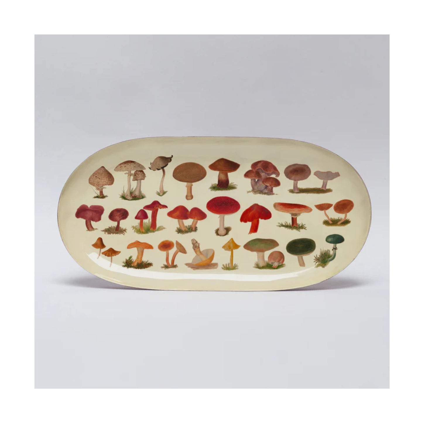 Fungi Species Oval Enamel Tray