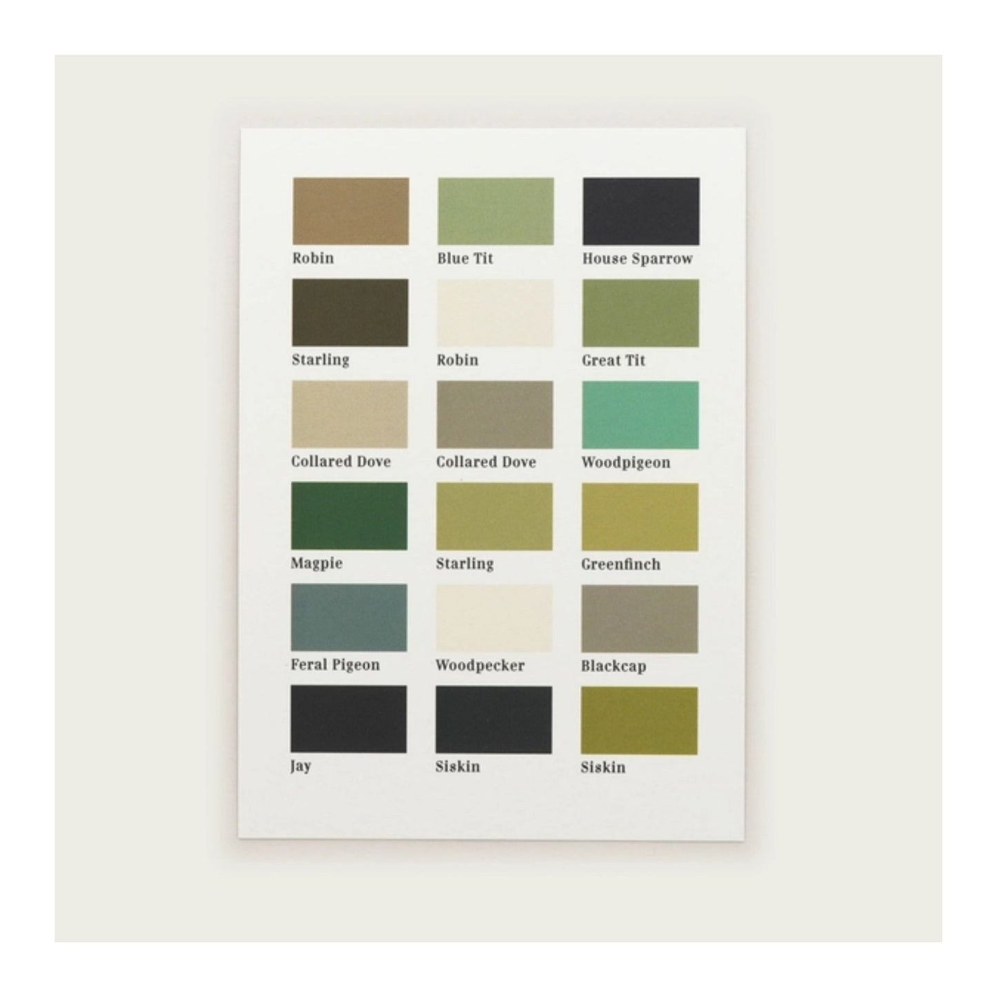 Green Bird Hues Smallprint