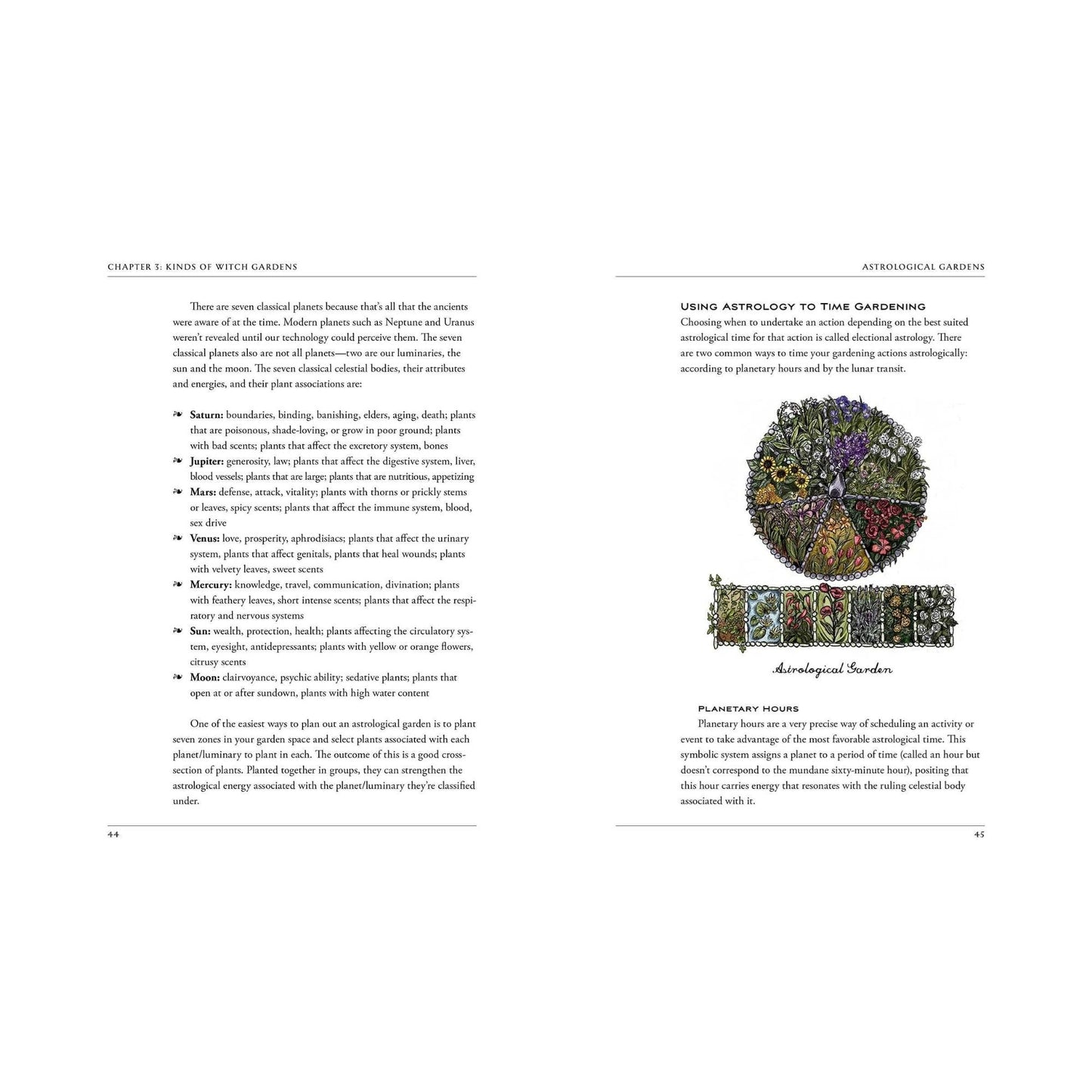 The Green Witch's Garden Book