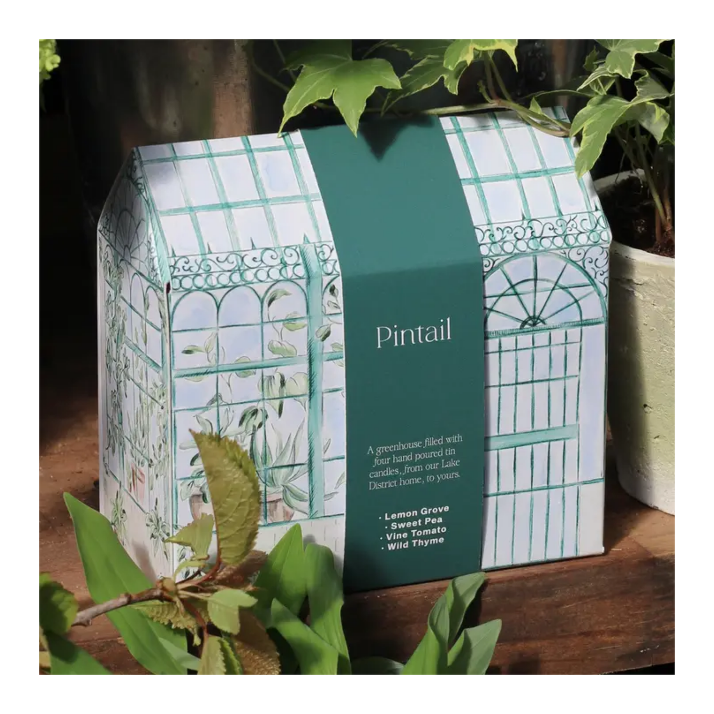 Greenhouse Paint Pot Candle Gift Set