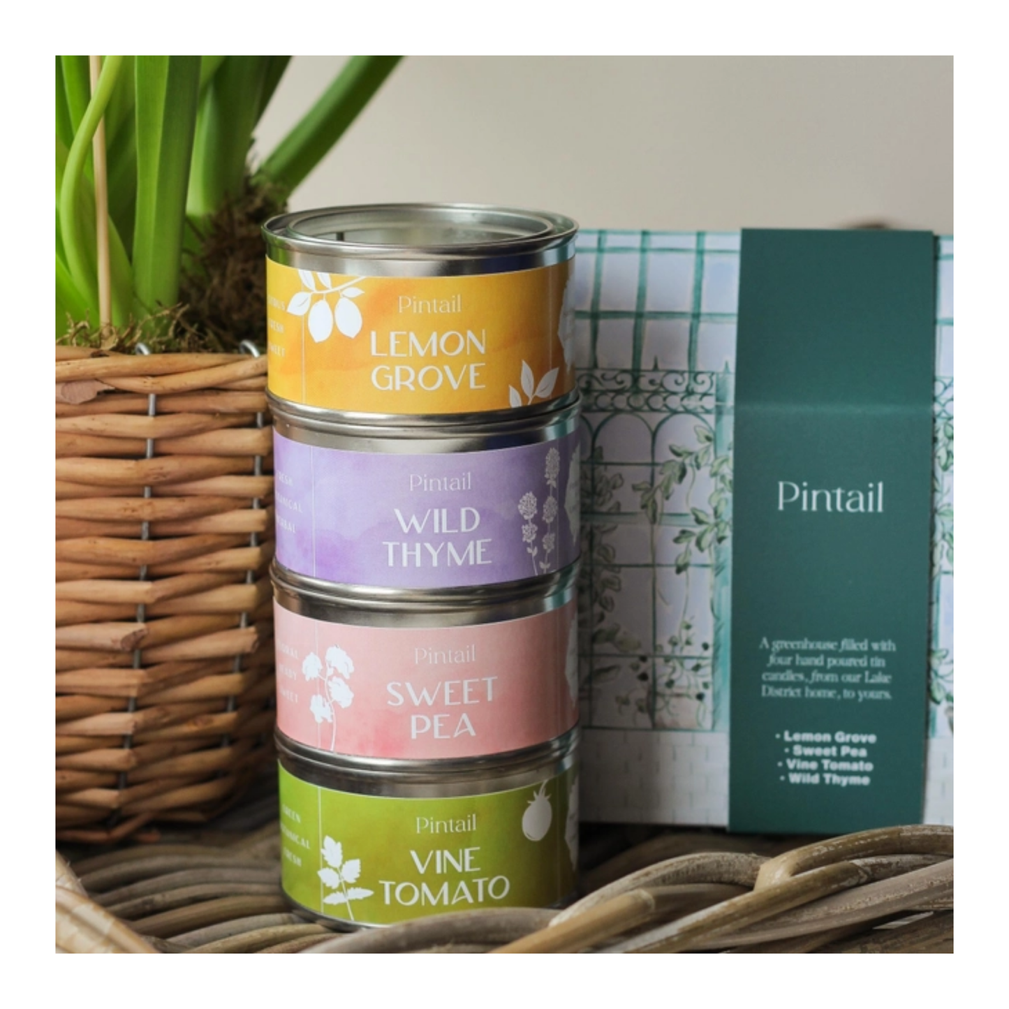 Greenhouse Paint Pot Candle Gift Set