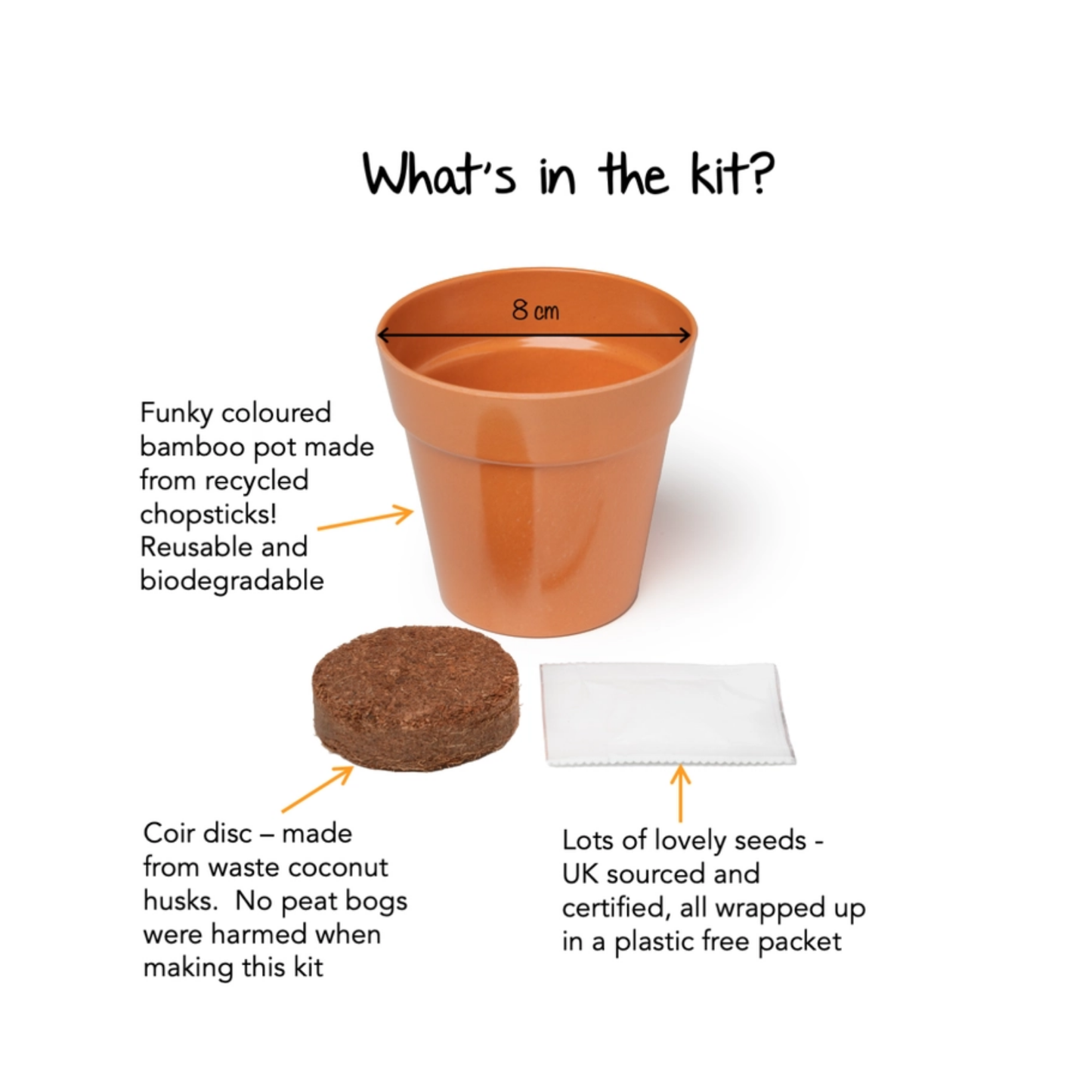 Kid's Pumpkin Growing Kit