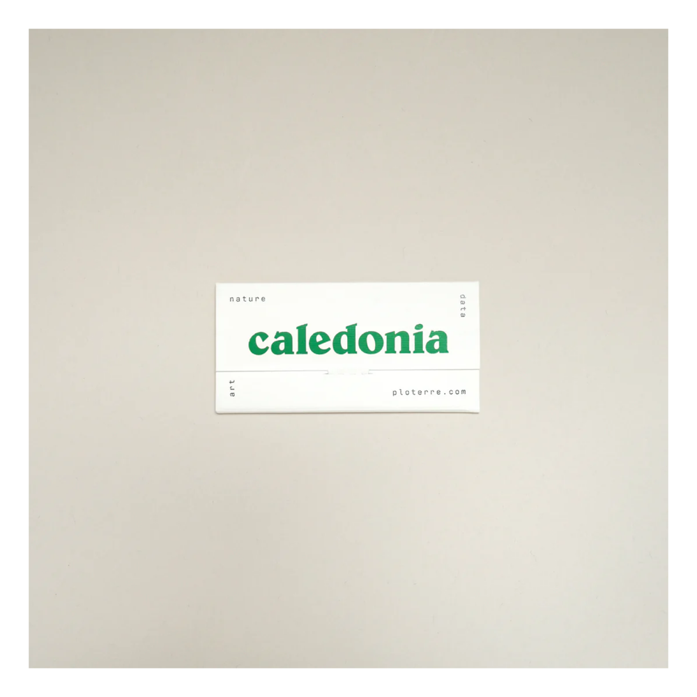 
                  
                    Caledonia Patch
                  
                