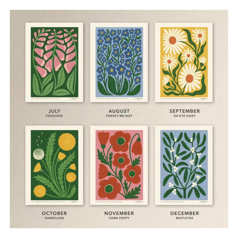 
                  
                    2026 Illustrated Wild Flower Wall Calendar
                  
                