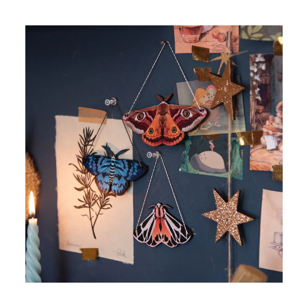 
                  
                    Red Emperor Moth Decoration
                  
                