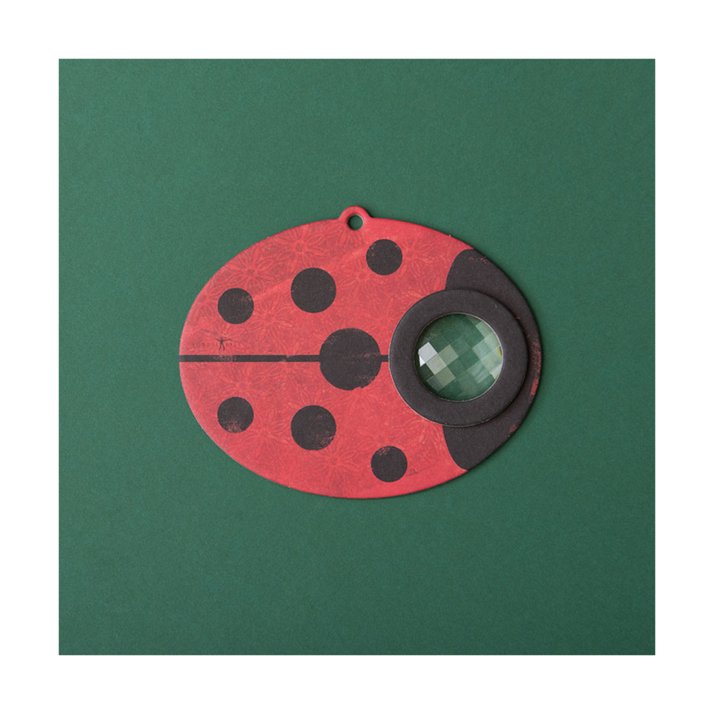 Insect Eye - Ladybird