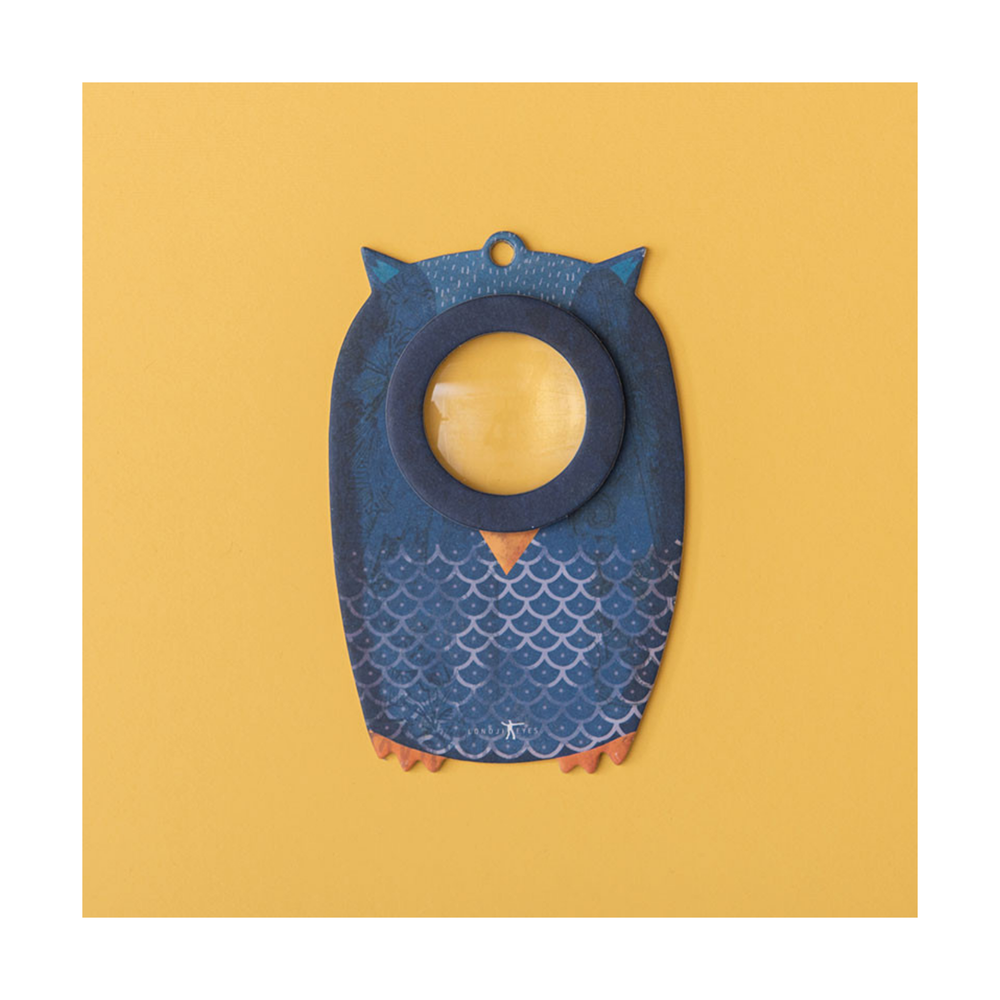 Big Eye - Owl