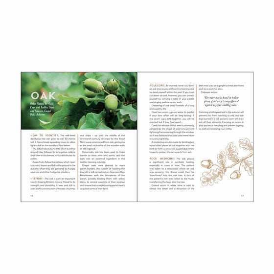The Hedgerow Apothecary