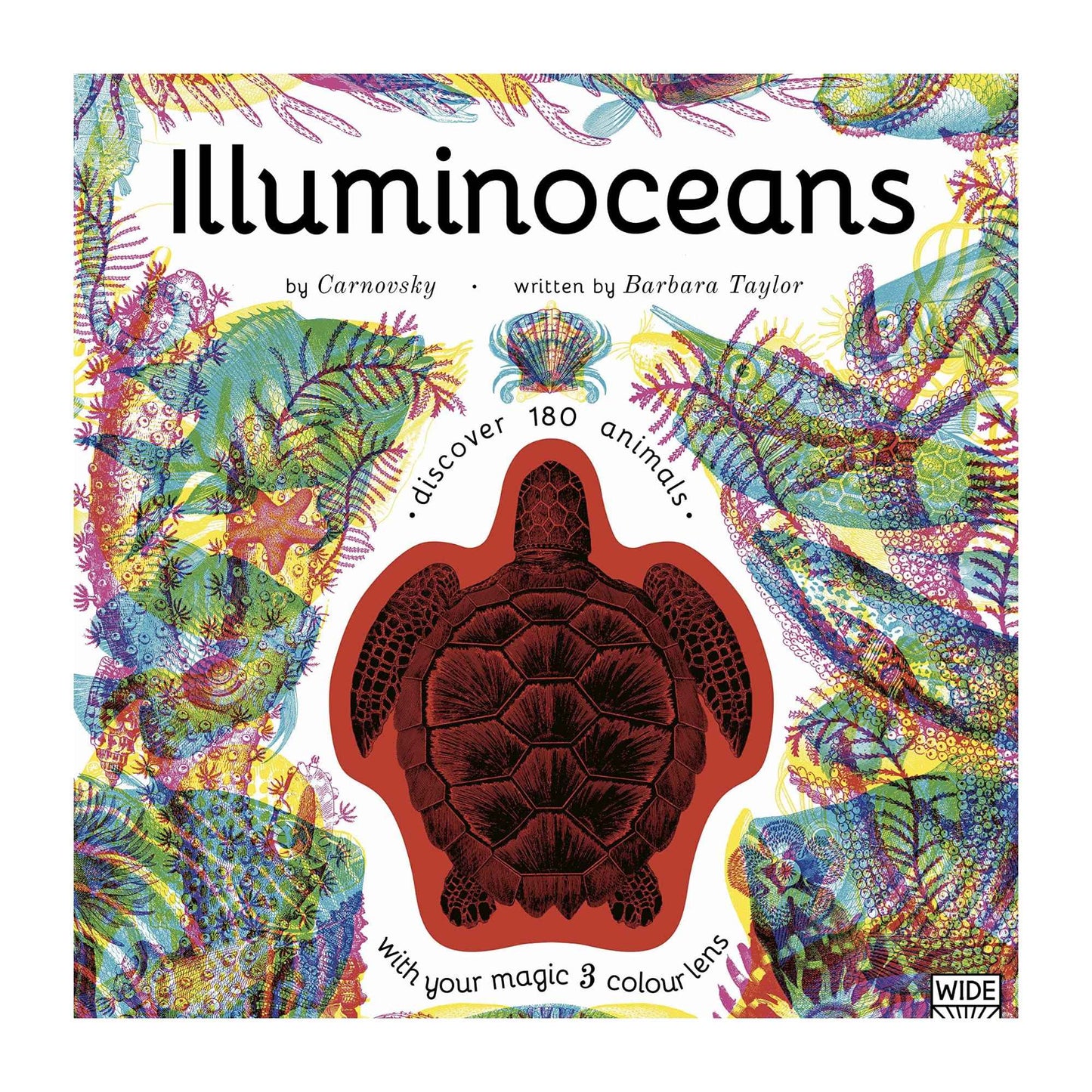 Illuminoceans by Carnovsky and Barbara Taylor