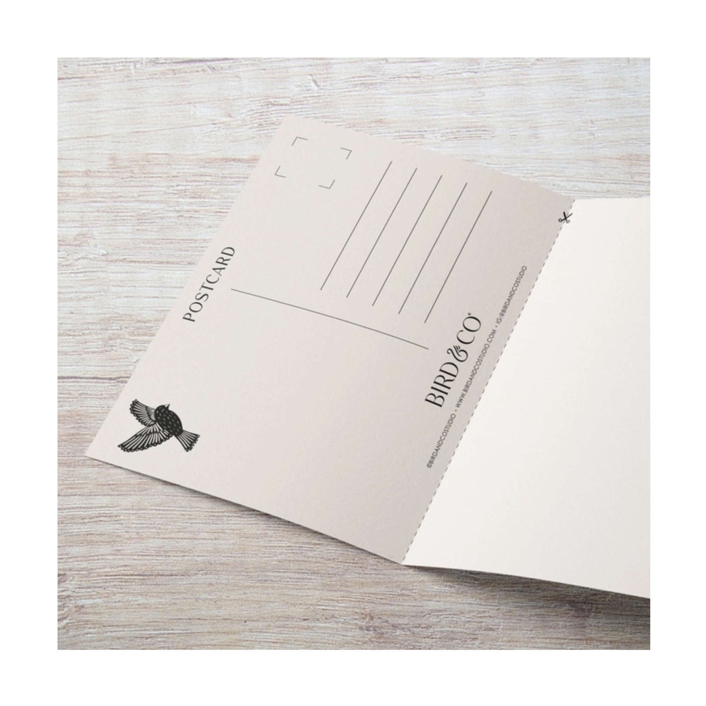 January Birth Flower Reusable Card