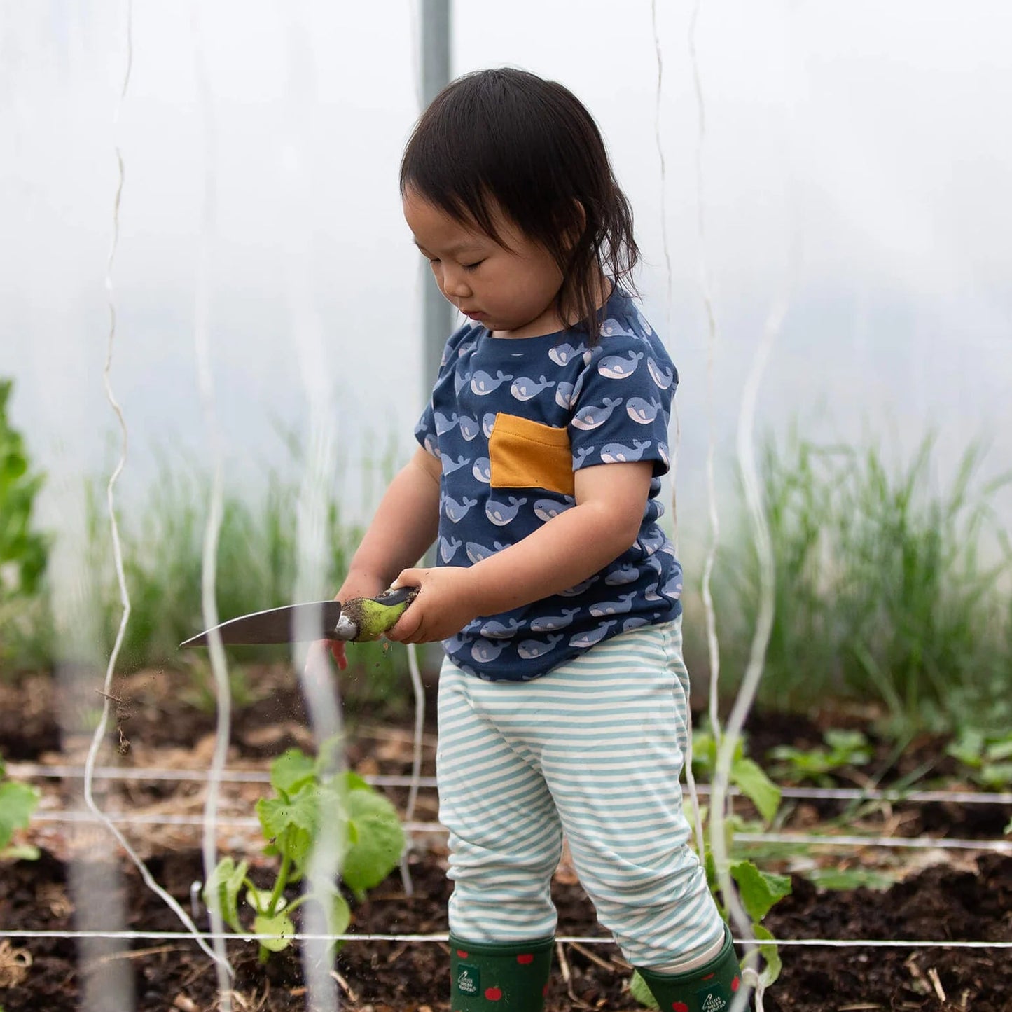A toddler stands in a garden wearing a blue patterned t-shirt, green and white striped pants, and green rain boots with red accents, holding a small gardening knife.