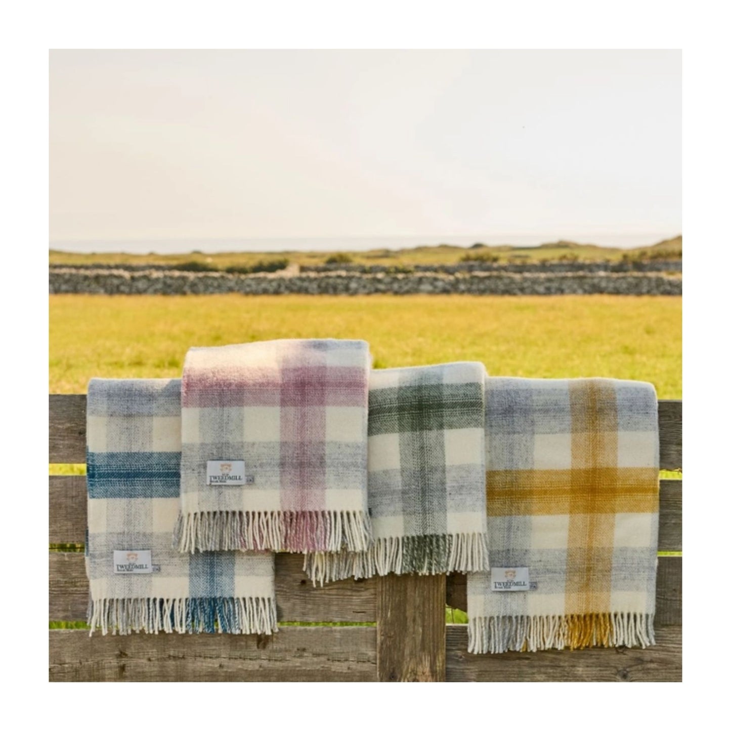 Yellow Meadow Check Blanket