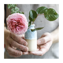  Ceramic Milk Bottle Vase