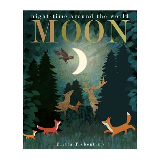 'Moon - Night-time around the World' - Peek Through Board Book, by Britta Teckentrup