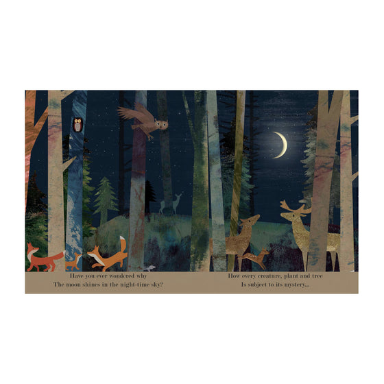 'Moon - Night-time around the World' - Peek Through Board Book, by Britta Teckentrup