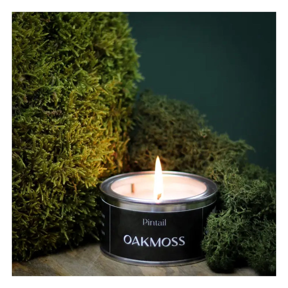 Oakmoss Paint Pot Candle