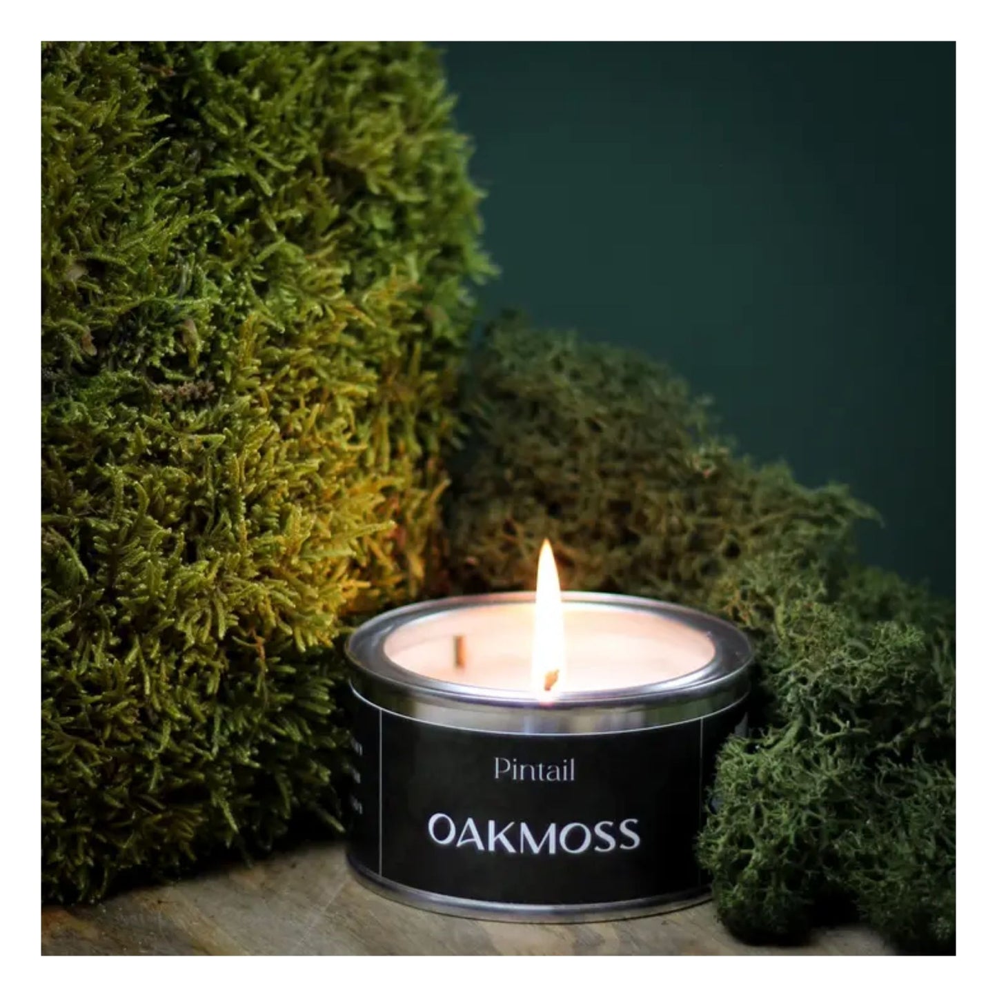 Oakmoss Paint Pot Candle