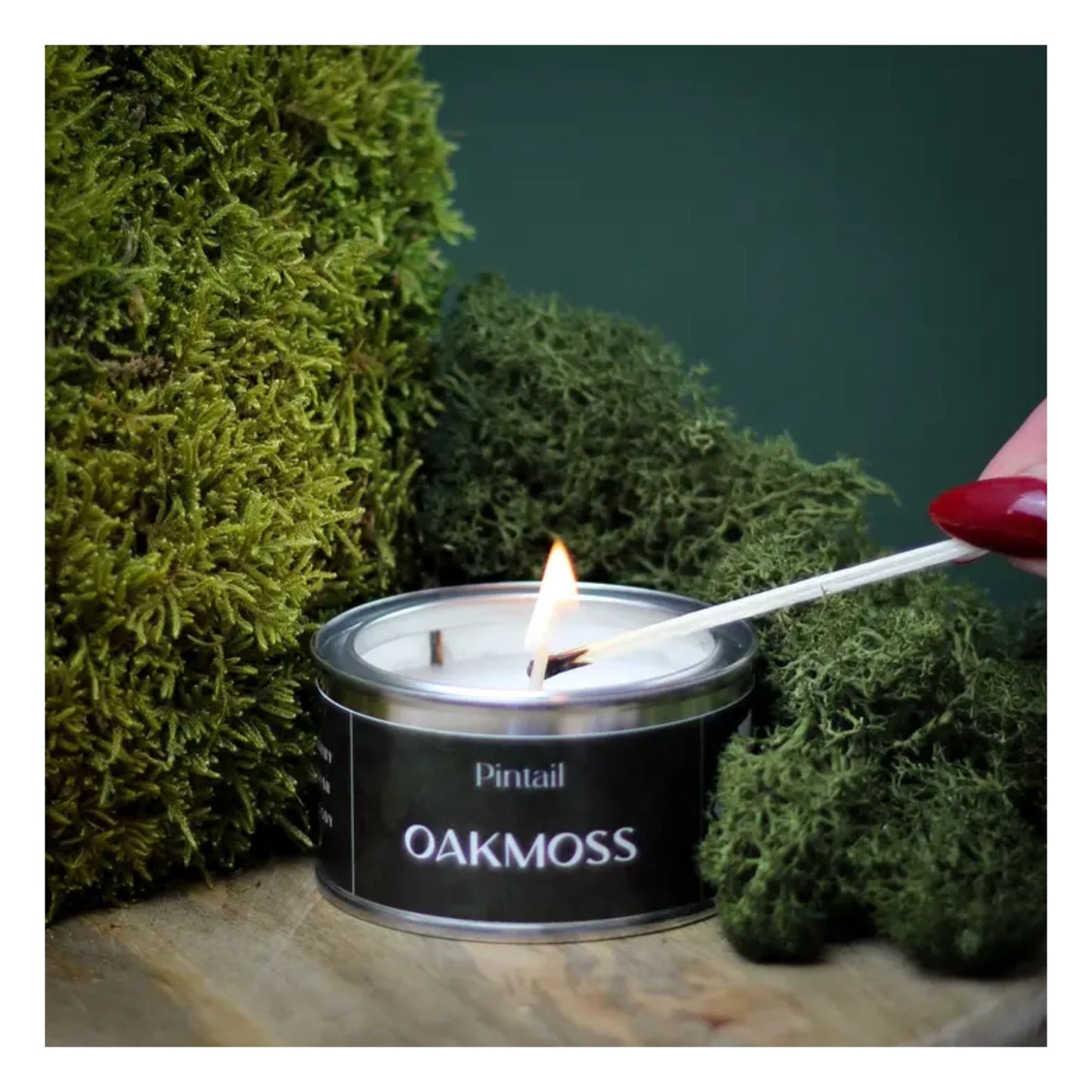 Oakmoss Paint Pot Candle