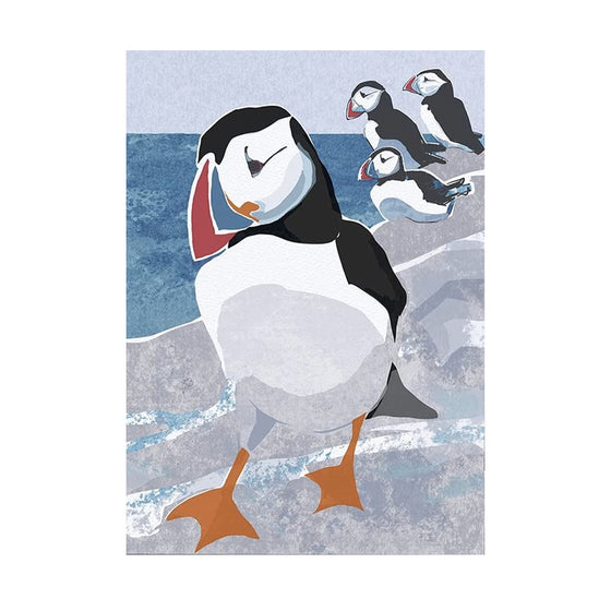 Nature Notebook - Puffin
