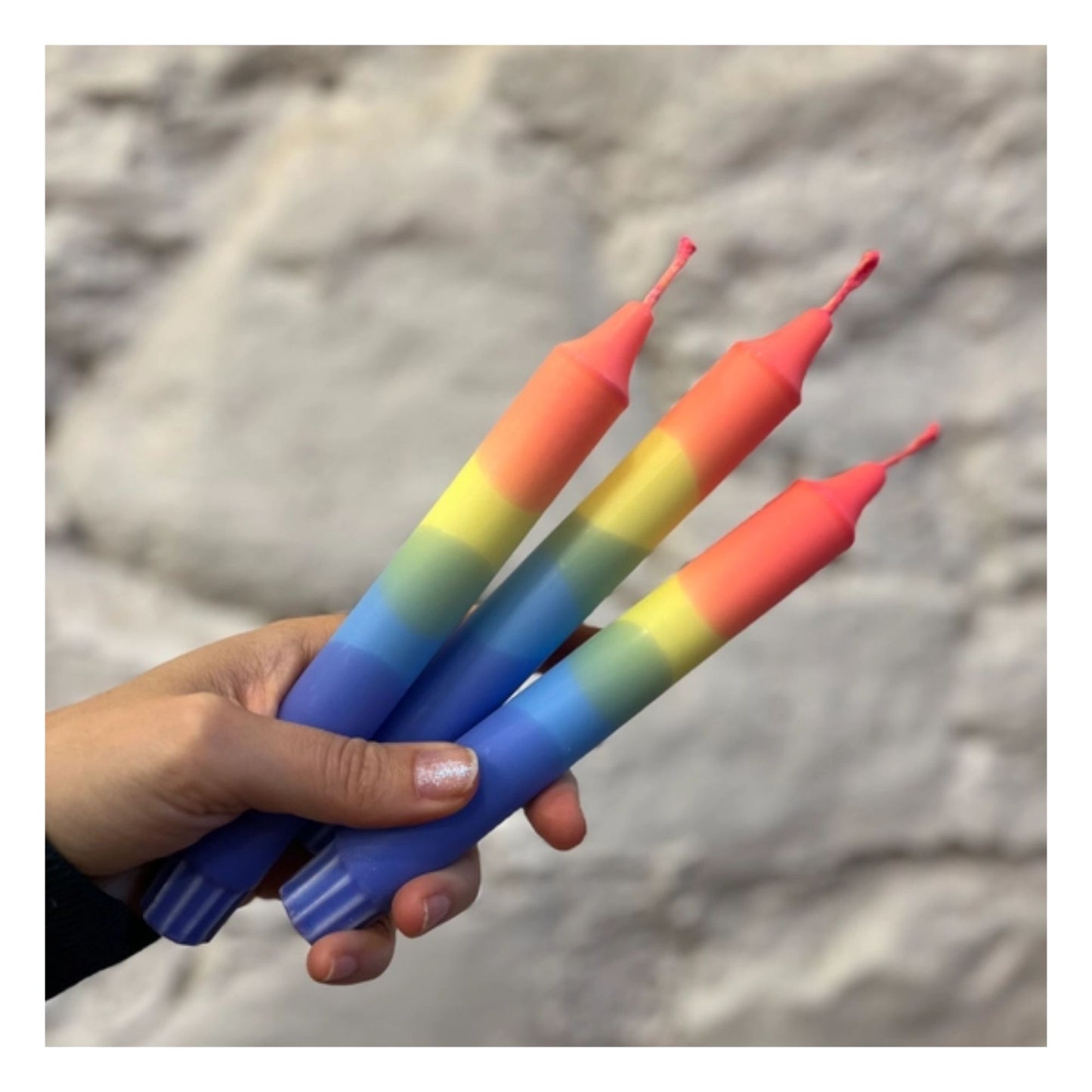 Rainbow Macaw Dinner Candle