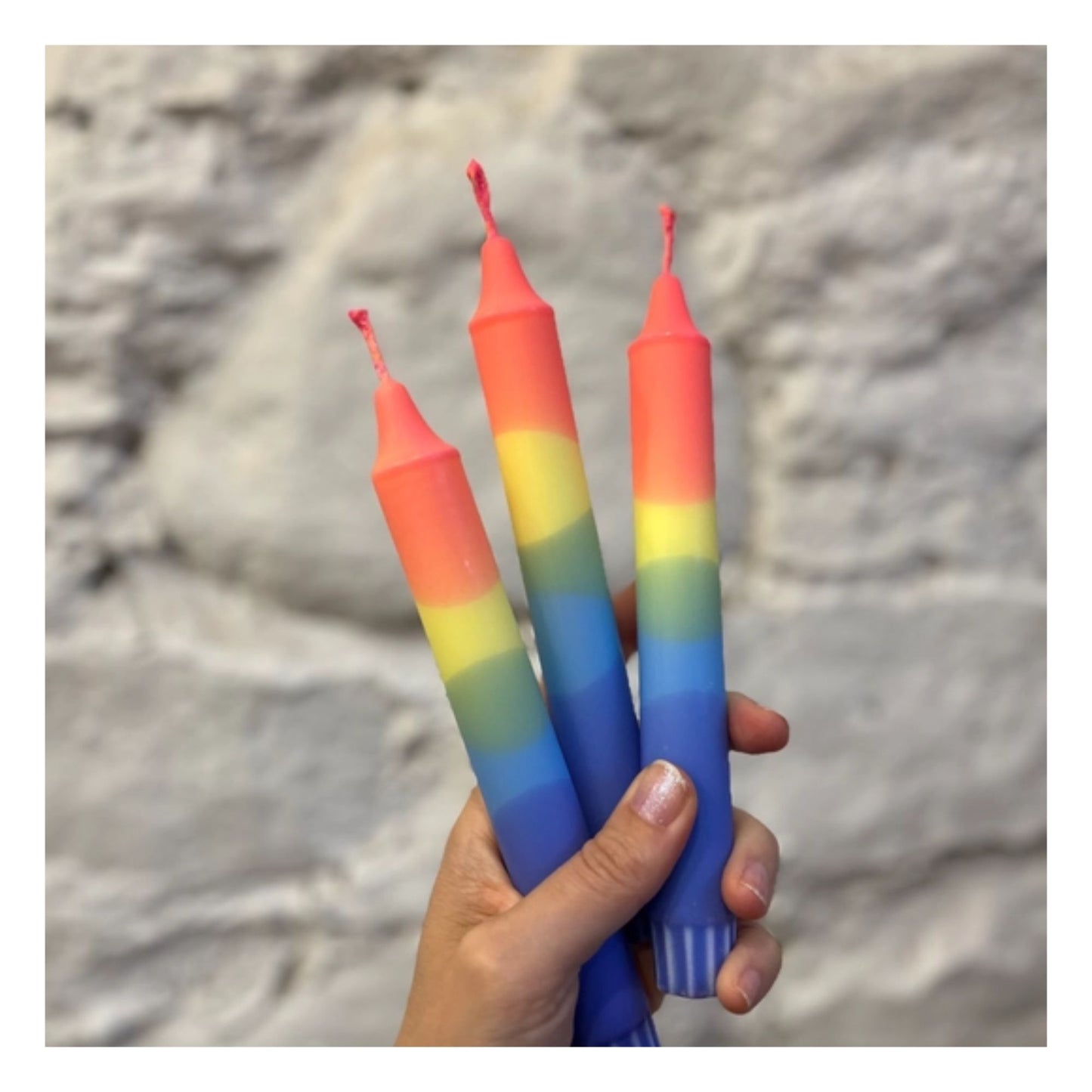 Rainbow Macaw Dinner Candle