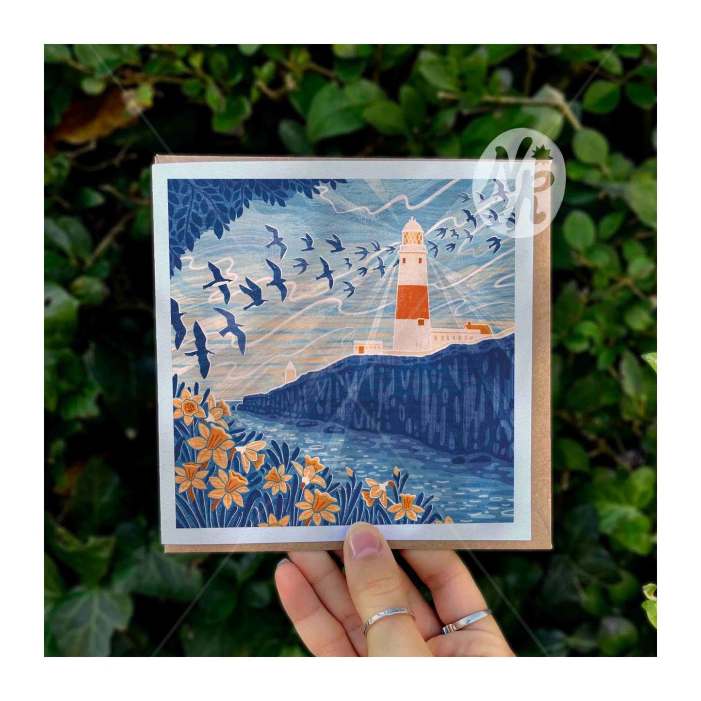 Seabird Migration Over Portland Bill Card