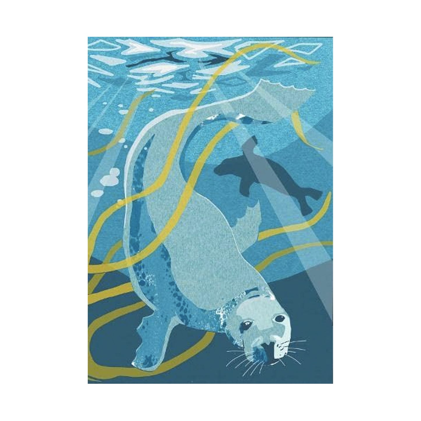 Seal Nature Notebook