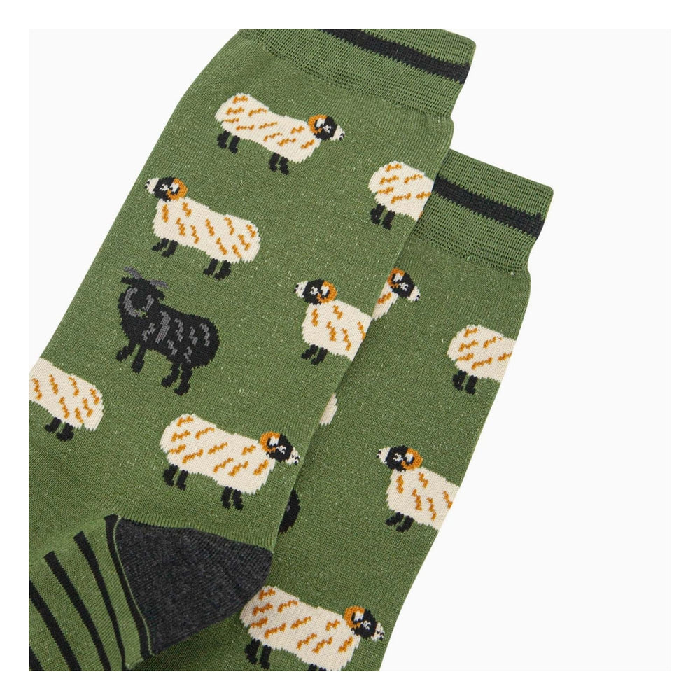 
                  
                    Sheep Socks
                  
                
