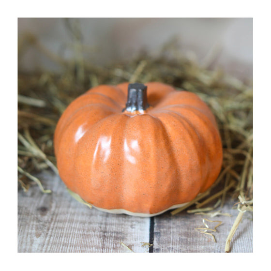 Ceramic Autumn Pumpkin