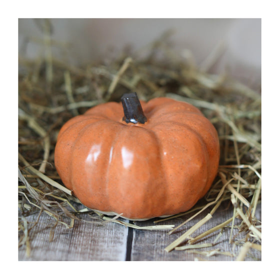 Ceramic Autumn Pumpkin